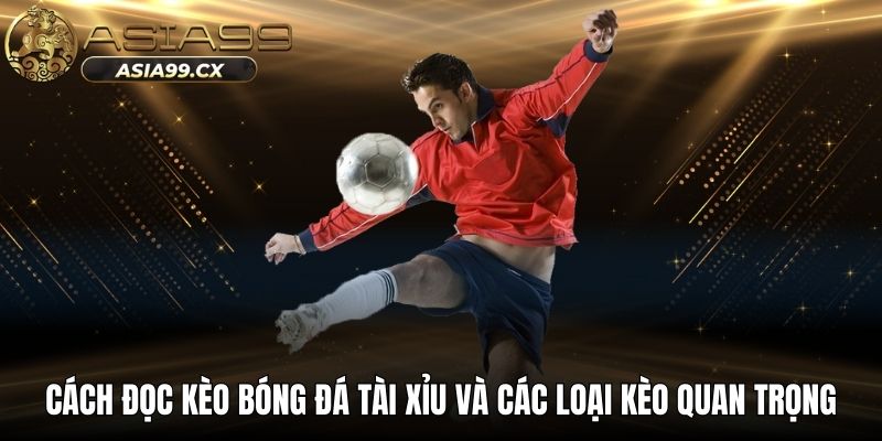 Cách đọc kèo bóng đá tài xỉu và các loại kèo quan trọng