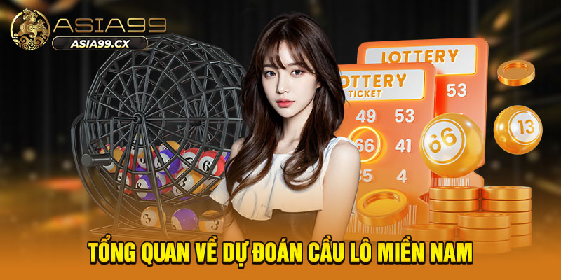 Tổng quan về dự đoán cầu lô miền Nam