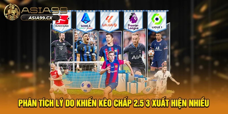 Phân tích lý do khiến kèo chấp 2.5 3 xuất hiện nhiều