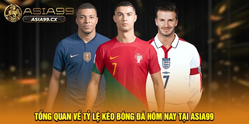 Tổng quan về tỷ lệ kèo bóng đá hôm nay tại Asia99